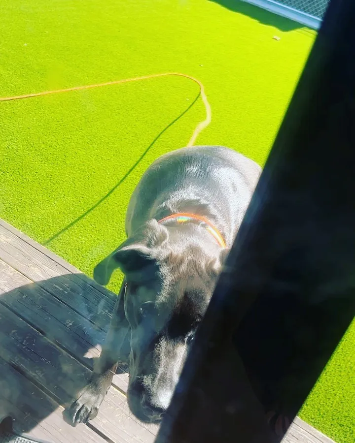 窓が汚くてすみません🙇